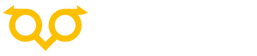 owlto.webp